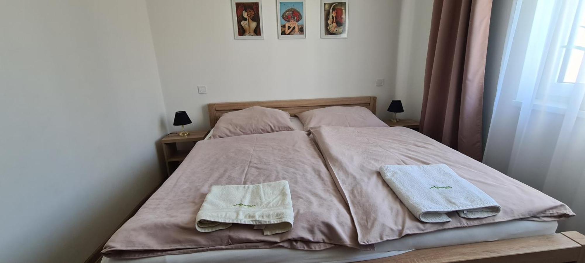 Apartman U Toma Frýdlant nad Ostravicí 外观 照片