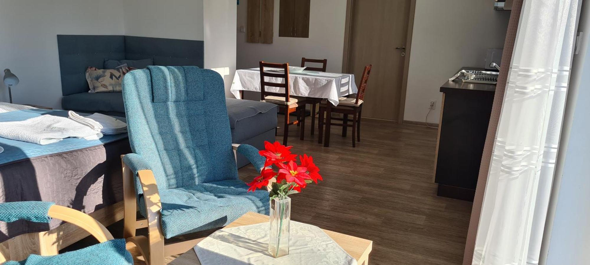 Apartman U Toma Frýdlant nad Ostravicí 外观 照片
