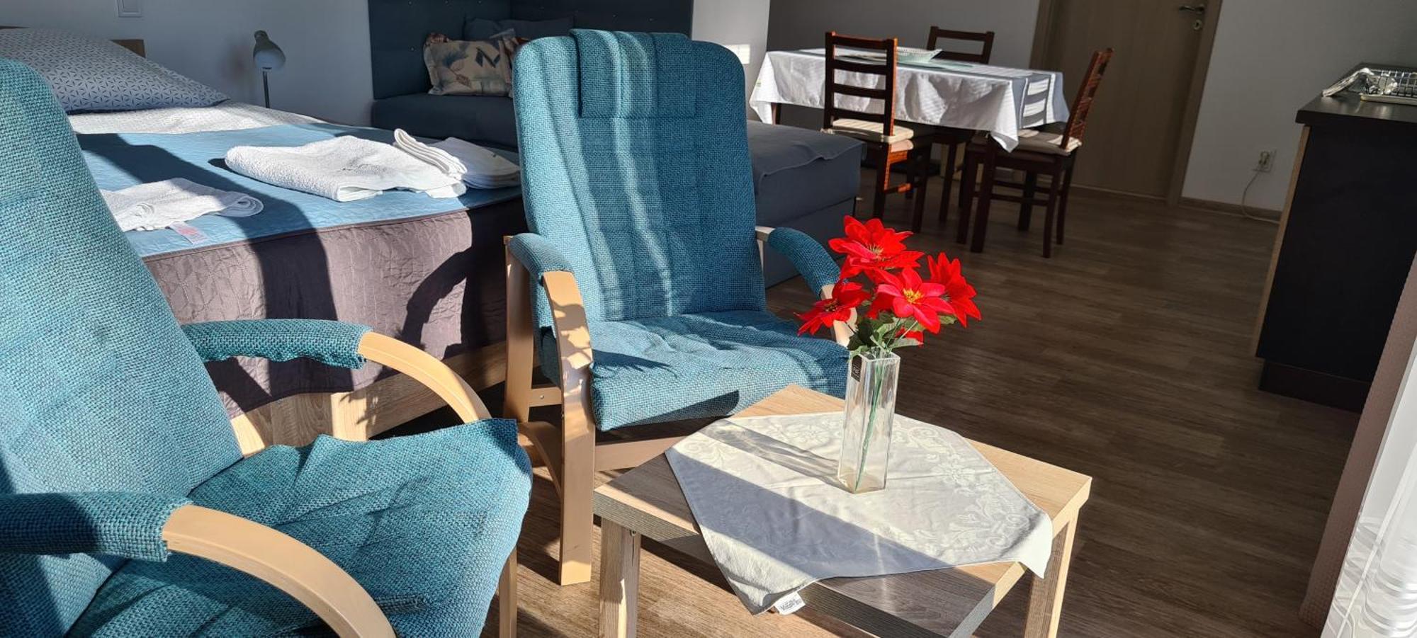 Apartman U Toma Frýdlant nad Ostravicí 外观 照片