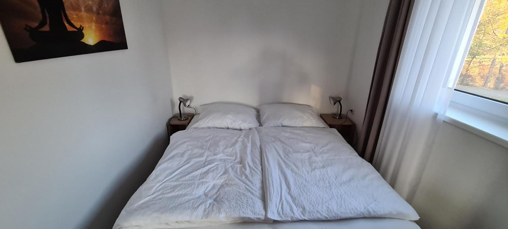 Apartman U Toma Frýdlant nad Ostravicí 外观 照片