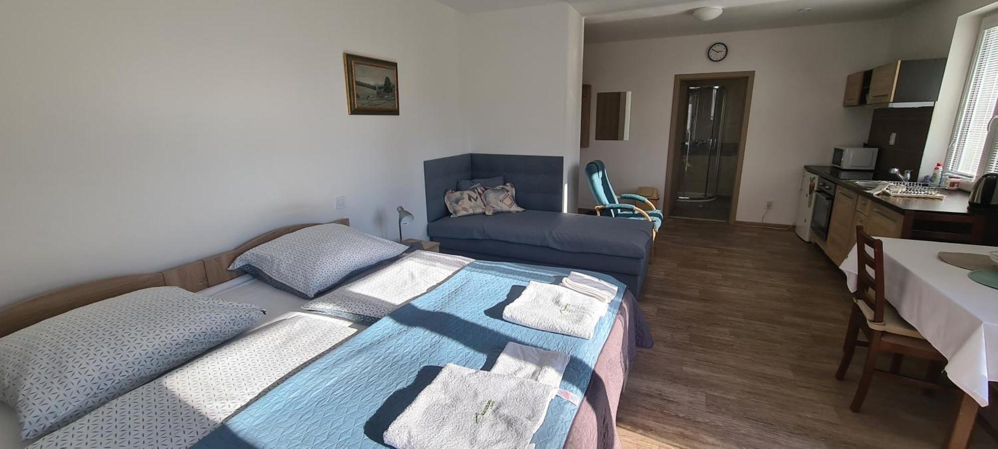 Apartman U Toma Frýdlant nad Ostravicí 外观 照片