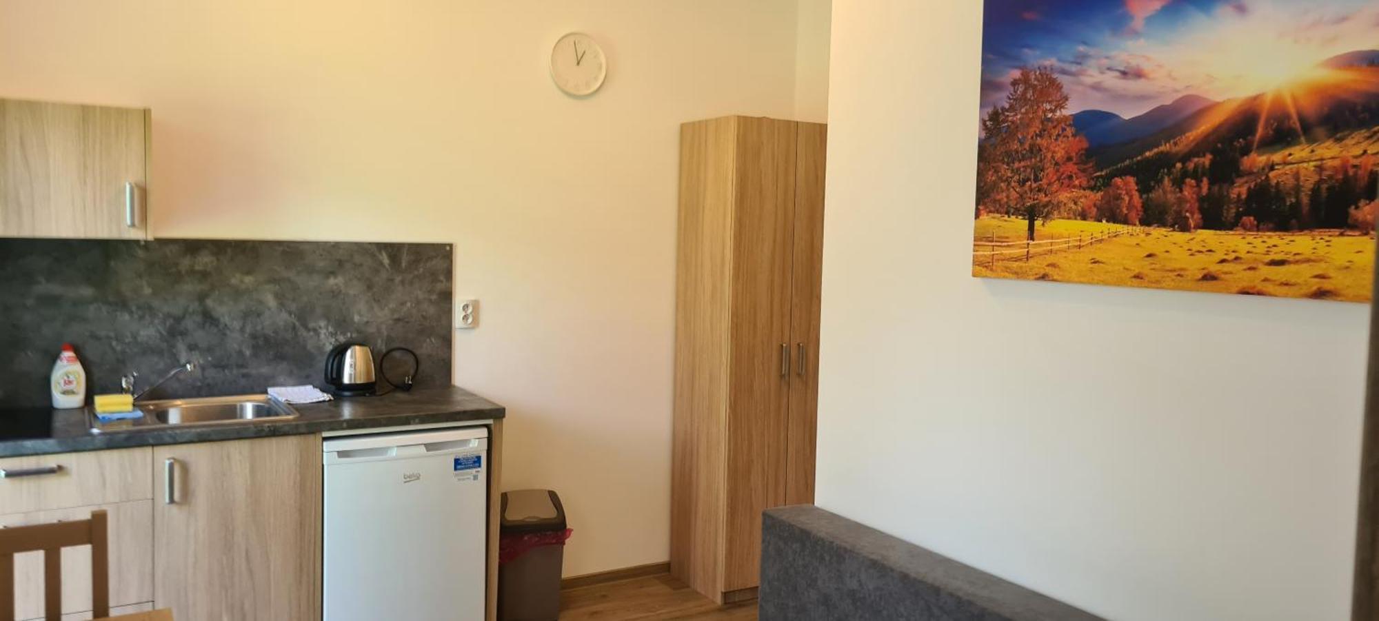 Apartman U Toma Frýdlant nad Ostravicí 外观 照片